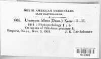 Uromyces fallens image